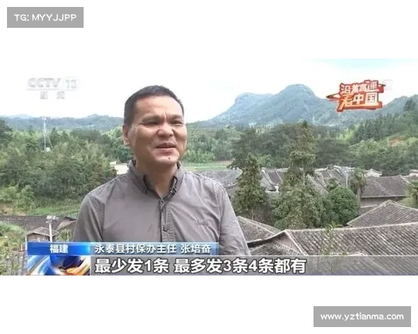 如何理解黑贝这一称呼背后的文化含义与深层象征